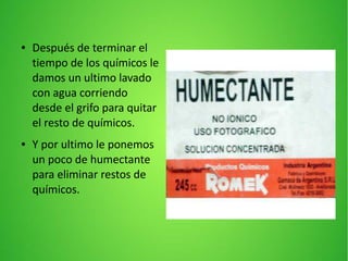 ● Después de terminar el
tiempo de los químicos le
damos un ultimo lavado
con agua corriendo
desde el grifo para quitar
el resto de químicos.
● Y por ultimo le ponemos
un poco de humectante
para eliminar restos de
químicos.
 