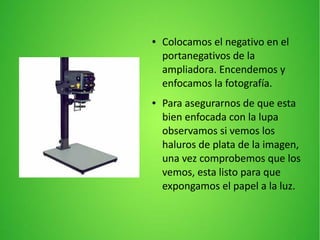 ● Colocamos el negativo en el
portanegativos de la
ampliadora. Encendemos y
enfocamos la fotografía.
● Para asegurarnos de que esta
bien enfocada con la lupa
observamos si vemos los
haluros de plata de la imagen,
una vez comprobemos que los
vemos, esta listo para que
expongamos el papel a la luz.
 