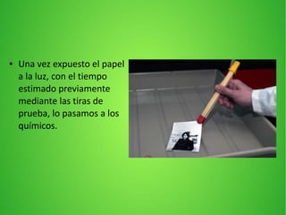 ● Una vez expuesto el papel
a la luz, con el tiempo
estimado previamente
mediante las tiras de
prueba, lo pasamos a los
químicos.
 