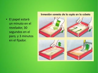 ● El papel estará
un minuto en el
revelador, 30
segundos en el
paro, y 3 minutos
en el fijador.
 