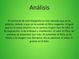 Análisis
El contraste de esta fotografía es mas elevado que en la
anterior, debido a que se ha subido el filtro magenta. Al igual
que en la copia anterior no se aprecia ningún tipo de fallo, ni
de exposición, ni de enfoque y trepidación. Al subir el filtro, las
sombras se empastan aun más. Al aumentar el filtro se ha
hecho a la imagen mas llamativa. No se aprecian ni velos, ni
granos en la foto.
 