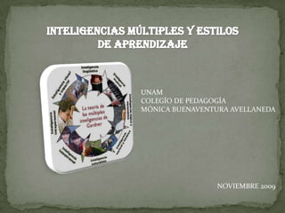 INTELIGENCIAS MÚLTIPLES Y ESTILOS DE APRENDIZAJE UNAM COLEGÍO DE PEDAGOGÍA MÓNICA BUENAVENTURA AVELLANEDA NOVIEMBRE 2009 