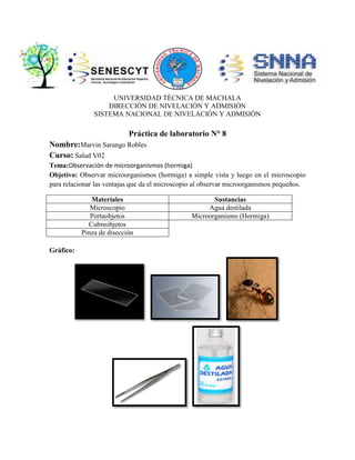 UNIVERSIDAD TÉCNICA DE MACHALA
DIRECCIÓN DE NIVELACIÓN Y ADMISIÓN
SISTEMA NACIONAL DE NIVELACIÓN Y ADMISIÓN

Práctica de laboratorio N° 8
Nombre:Marvin Sarango Robles
Curso: Salud V02
Tema:Observación de microorganismos (hormiga)
Objetivo: Observar microorganismos (hormiga) a simple vista y luego en el microscopio
para relacionar las ventajas que da el microscopio al observar microorganismos pequeños.
Materiales
Microscopio
Portaobjetos
Cubreobjetos
Pinza de disección
Gráfico:

Sustancias
Agua destilada
Microorganismo (Hormiga)

 