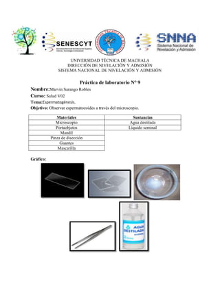 UNIVERSIDAD TÉCNICA DE MACHALA
DIRECCIÓN DE NIVELACIÓN Y ADMISIÓN
SISTEMA NACIONAL DE NIVELACIÓN Y ADMISIÓN

Práctica de laboratorio N° 9
Nombre:Marvin Sarango Robles
Curso: Salud V02
Tema:Espermatogénesis.
Objetivo: Observar espermatozoides a través del microscopio.
Materiales
Microscopio
Portaobjetos
Mandil
Pinza de disección
Guantes
Mascarilla
Gráfico:

Sustancias
Agua destilada
Líquido seminal

 