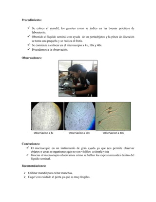 Procedimiento:

 Se coloca el mandil, los guantes como se indica en las buenas prácticas de
laboratorio.
 Obtenido el líquido seminal con ayuda de un portaobjetos y la pinza de disección
se toma una pequeña y se realiza el frotis.
 Se comienza a enfocar en el microscopio a 4x, 10x y 40x
 Procedemos a la observación.
Observaciones:

Observacion a 4x

Observacion a 10x

Observacion a 40x

Conclusiones:
 El microscopio en un instrumento de gran ayuda ya que nos permite observar
objetos o cosas u organismos que no son visibles a simple vista
 Gracias al microscopio observamos cómo se hallan los espermatozoides dentro del
líquido seminal.
Recomendaciones:
 Utilizar mandil para evitar manchas.
 Coger con cuidado el porta ya que es muy frágiles.

 