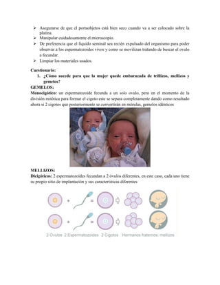  Asegurarse de que el portaobjetos está bien seco cuando va a ser colocado sobre la
platina.
 Manipular cuidadosamente el microscopio.
 De preferencia que el líquido seminal sea recién expulsado del organismo para poder
observar a los espermatozoides vivos y como se movilizan tratando de buscar el ovulo
a fecundar.
 Limpiar los materiales usados.
Cuestionario:
1. ¿Cómo sucede para que la mujer quede embarazada de trillizos, mellizos y
gemelos?
GEMELOS:
Monocigótico: un espermatozoide fecunda a un solo ovulo, pero en el momento de la
división mitótica para formar el cigoto este se separa completamente dando como resultado
ahora si 2 cigotos que posteriormente se convertirán en mórulas, gemelos idénticos

MELLIZOS:
Dicigóticos: 2 espermatozoides fecundan a 2 óvulos diferentes, en este caso, cada uno tiene
su propio sitio de implantación y sus características diferentes

 