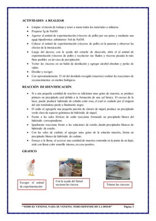 “TODO ES VENENO, NADA ES VENENO; TODO DEPENDE DE LA DOSIS” Página 3
ACTIVIDADES A REALIZAR
 Limpiar el mesón de trabajo y tener a mano todos los materiales a utilizarse
 Preparar 5g de NaOH
 Agarrar al animal de experimentación (vísceras de pollo) por sus patas y mediante una
aguja hipodérmica administrar 5ml de NaOH.
 Colocar al animal de experimentación (vísceras de pollo) en la panema y observar los
efectos de la intoxicación.
 Luego del deceso, con la ayuda del estuche de disección, abrir el al animal de
experimentación (vísceras de pollo) y recolectar sus fluidos y vísceras picadas lo más
finas posibles en un vaso de precipitación.
 Verter las vísceras en un balón de destilación y agregar alcohol absoluto y perlas de
vidrio.
 Destilar y recoger.
 Con aproximadamente 15 ml del destilado recogido (muestra) realizar las reacciones de
reconocimientos en medios biológicos.
REACCIÓN DE IDENTIFICACIÓN
 Si a una pequeña cantidad de reactivo se adicionan unas gotas de muestra, se produce
primero un precipitado azul debido a la formación de una sal básica. El exceso de la
base, puede producir hidróxido de cobalto color rosa, el cual es oxidado por el oxígeno
del aire tornándose pardo y finalmente negro.
 El sodio al agregarle una pequeña porción de cloruro de níquel, produce un precipitado
verde claro de aspecto gelatinoso de hidróxido de níquel.
 Frente a las sales férricas de sodio reacciona formando un precipitado blanco del
hidróxido correspondiente.
 Igualmente reacciona frente a las soluciones de estaño, dando precipitados blancos de
hidróxido de estaño.
 Con las sales de cadmio, al agregar unas gotas de la solución muestra, forma un
precipitado blanco de hidróxido de cadmio.
 Ensayo a la llama, al acercar una cantidad de muestra contenida en la punta de un lápiz,
arde con llama color amarilla intensa, en caso positivo.
GRAFICO
Escoger el animal
de experimentación
Con la ayuda del bisturí
sacamos las víscera Triturar las vísceras
 