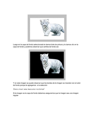 Luego en la capa de fondo seleccionada le damos bote de pintura y le damos clic en la
capa de fonde y podemos observar que cambia de fondo asi:




Y en esta imagen se puede observar que los bordes de la imagen se mezclan con el color
de fondo porque le agregamos a la selección

Para crear una mascara vectorial

Si la imagen es la capa de fondo debemos asegurarnos que la imagen sea una imagen
regular
 