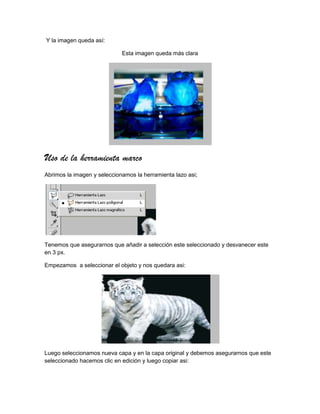 Y la imagen queda así:

                             Esta imagen queda más clara




Uso de la herramienta marco
Abrimos la imagen y seleccionamos la herramienta lazo asi;




Tenemos que asegurarnos que añadir a selección este seleccionado y desvanecer este
en 3 px.

Empezamos a seleccionar el objeto y nos quedara asi:




Luego seleccionamos nueva capa y en la capa original y debemos asegurarnos que este
seleccionado hacemos clic en edición y luego copiar asi:
 
