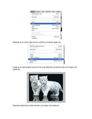 Después en la nueva capa vamos a edición y le damos pegar así:




Luego en la capa original vamos al menú de selección y le damos todo y la imagen nos
queda asi:




Después presionaos la tecla eliminar y la magen me queda asi:
 