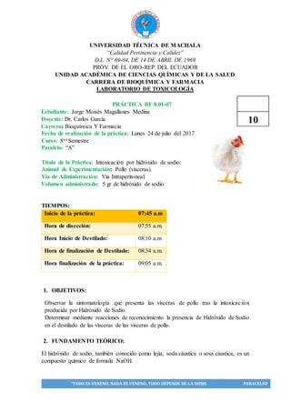 “TODO ES VENENO, NADA ES VENENO, TODO DEPENDE DE LA DOSIS PARACELSO
UNIVERSIDAD TÉCNICA DE MACHALA
“Calidad Pertinencia y Calidez”
D.L. N° 69-04, DE 14 DE ABRIL DE 1969
PROV. DE EL ORO-REP. DEL ECUADOR
UNIDAD ACADÉMICA DE CIENCIAS QUÍMICAS Y DE LA SALUD
CARRERA DE BIOQUÍMICA Y FARMACIA
LABORATORIO DE TOXICOLOGÍA
PRÁCTICA BF 8.01-07
Estudiante: Jorge Moisés Magallanes Medina
Docente: Dr. Carlos García
Carrera: Bioquímica Y Farmacia
Fecha de realización de la práctica: Lunes 24 de julio del 2017
Curso: 8vo Semestre
Paralelo: “A”
Título de la Práctica: Intoxicación por hidróxido de sodio.
Animal de Experimentación: Pollo (vísceras).
Vía de Administración: Vía Intraperitoneal.
Volumen administrado: 5 gr de hidróxido de sodio.
TIEMPOS:
Inicio de la práctica: 07:45 a.m
Hora de disección: 07:55 a.m.
Hora Inicio de Destilado: 08:10 a.m
Hora de finalización de Destilado: 08:34 a.m.
Hora finalización de la práctica: 09:05 a.m.
1. OBJETIVOS:
Observar la sintomatología que presenta las vísceras de pollo tras la intoxicación
producida por Hidróxido de Sodio.
Determinar mediante reacciones de reconocimiento la presencia de Hidróxido de Sodio
en el destilado de las vísceras de las vísceras de pollo.
2. FUNDAMENTO TEÓRICO:
El hidróxido de sodio, también conocido como lejía, soda cáustica o sosa cáustica, es un
compuesto químico de formula NaOH.
10
 