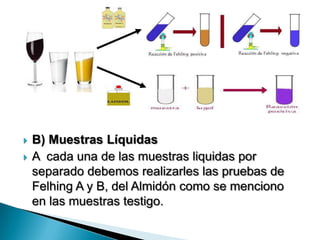  B) Muestras Líquidas
 A cada una de las muestras liquidas por
separado debemos realizarles las pruebas de
Felhing A y B, del Almidón como se menciono
en las muestras testigo.
 