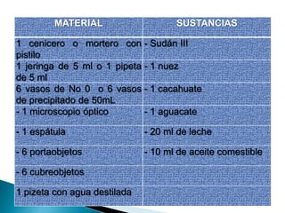 MATERIAL SUSTANCIAS
1 cenicero o mortero con
pistilo
- Sudán III
1 jeringa de 5 ml o 1 pipeta
de 5 ml
- 1 nuez
6 vasos de No 0 o 6 vasos
de precipitado de 50mL
- 1 cacahuate
- 1 microscopio óptico - 1 aguacate
- 1 espátula - 20 ml de leche
- 6 portaobjetos - 10 ml de aceite comestible
- 6 cubreobjetos
1 pizeta con agua destilada
 