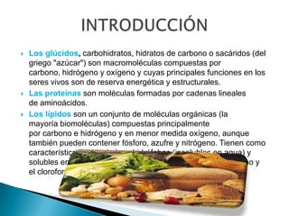  Los glúcidos, carbohidratos, hidratos de carbono o sacáridos (del
griego "azúcar") son macromoléculas compuestas por
carbono, hidrógeno y oxígeno y cuyas principales funciones en los
seres vivos son de reserva energética y estructurales.
 Las proteínas son moléculas formadas por cadenas lineales
de aminoácidos.
 Los lípidos son un conjunto de moléculas orgánicas (la
mayoría biomoléculas) compuestas principalmente
por carbono e hidrógeno y en menor medida oxígeno, aunque
también pueden contener fósforo, azufre y nitrógeno. Tienen como
característica principal el ser hidrófobas (insolubles en agua) y
solubles en disolventes orgánicos como la bencina, el benceno y
el cloroformo.
 