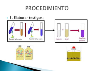  1. Elaborar testigos:
 