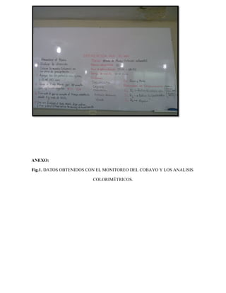 ANEXO:
Fig.1. DATOS OBTENIDOS CON EL MONITOREO DEL COBAYO Y LOS ANALISIS
COLORIMÉTRICOS.
 