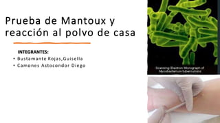 Prueba de Mantoux y
reacción al polvo de casa
INTEGRANTES:
• Bustamante Rojas,Guisella
• Camones Astocondor Diego
 