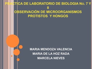 PRACTICA DE LABORATORIO DE BIOLOGIA NO. 7 Y
                    8
    OBSERVACIÓN DE MICROORGANISMOS
           PROTISTOS Y HONGOS




            MARIA MENDOZA VALENCIA
             MARIA DE LA HOZ RADA
                MARCELA NIEVES
 