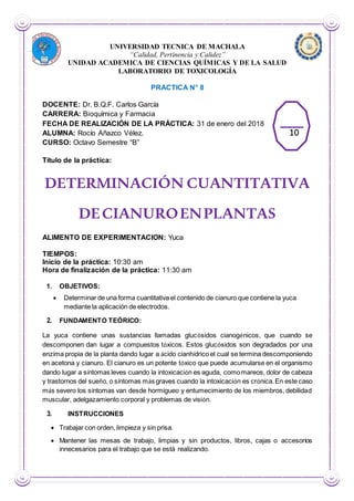 UNIVERSIDAD TECNICA DE MACHALA
“Calidad, Pertinencia y Calidez”
UNIDAD ACADEMICA DE CIENCIAS QUÍMICAS Y DE LA SALUD
LABORATORIO DE TOXICOLOGÍA
PRACTICA N° 8
DOCENTE: Dr. B.Q.F. Carlos García
CARRERA: Bioquímica y Farmacia
FECHA DE REALIZACIÓN DE LA PRÁCTICA: 31 de enero del 2018
ALUMNA: Rocío Añazco Vélez.
CURSO: Octavo Semestre “B”
Título de la práctica:
DETERMINACIÓN CUANTITATIVA
DECIANUROENPLANTAS
ALIMENTO DE EXPERIMENTACION: Yuca
TIEMPOS:
Inicio de la práctica: 10:30 am
Hora de finalización de la práctica: 11:30 am
1. OBJETIVOS:
 Determinar de una forma cuantitativa el contenido de cianuro que contiene la yuca
mediante la aplicación de electrodos.
2. FUNDAMENTO TEÓRICO:
La yuca contiene unas sustancias llamadas glucósidos cianogénicos, que cuando se
descomponen dan lugar a compuestos tóxicos. Estos glucósidos son degradados por una
enzima propia de la planta dando lugar a ácido cianhídrico el cual se termina descomponiendo
en acetona y cianuro. El cianuro es un potente tóxico que puede acumularse en el organismo
dando lugar a síntomas leves cuando la intoxicación es aguda, comomareos, dolor de cabeza
y trastornos del sueño, o síntomas más graves cuando la intoxicación es crónica.En este caso
más severo los síntomas van desde hormigueo y entumecimiento de los miembros, debilidad
muscular, adelgazamiento corporal y problemas de visión.
3. INSTRUCCIONES
 Trabajar con orden, limpieza y sin prisa.
 Mantener las mesas de trabajo, limpias y sin productos, libros, cajas o accesorios
innecesarios para el trabajo que se está realizando.
10
 