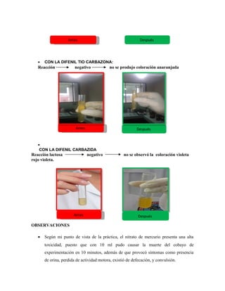• CON LA DIFENIL TIO CARBAZONA:
Reacción negativo no se produjo coloración anaranjada
•
CON LA DIFENIL CARBAZIDA
Reacción lactosa negativo no se observó la coloración violeta
rojo violeta.
OBSERVACIONES
• Según mi punto de vista de la práctica, el nitrato de mercurio presenta una alta
toxicidad, puesto que con 10 ml pudo causar la muerte del cobayo de
experimentación en 10 minutos, además de que provocó síntomas como presencia
de orina, perdida de actividad motora, existió de defecación, y convulsión.
AntesAntes Después
AntesAntes Después
DespuésAntesAntes
 