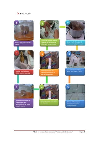 “Todo es veneno, Nada es veneno, Todo depende de la dosis“ Página 4
 GRÁFICOS:
Animal de experimentación
cobayo
Extraer las vísceras del
cobayo y colocarlas en un
vaso de precipitación
Inyectar 10 ml el toxico
(CdCl2 solución saturada)
Llevar a baño María por 30
minutos con agitación regular
Triturar las vísceras, colocar
50 perlas de vidrio y 2g de
KClO3 y 25 ml de HCl conc.
Observar los síntomas del
cobayo luego de la
administración del toxico
hasta la muerte
Una vez finalizado el baño
María, dejar enfriar y filtrar
Colocar al cobayo en la tabla
de disección
1
4
852
7
3
6
Obtener el filtrado para
realizar las reacciones
correspondientes.
9
 