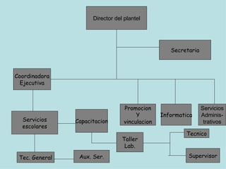 Director del plantel Secretaria Coordinadora Ejecutiva Promocion Y vinculacion Informatica Servicios Adminis- trativos Servicios escolares Capacitacion Tec. General Aux. Ser. Taller Lab. Tecnico Supervisor