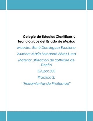 Colegio de Estudios Científicos y
Tecnológicos del Estado de México
Maestro: René Domínguez Escalona
Alumna: María Fernanda Pérez Luna
Materia: Utilización de Software de
                Diseño
            Grupo: 303
            Practica 2:
  “Herramientas de Photoshop”
 