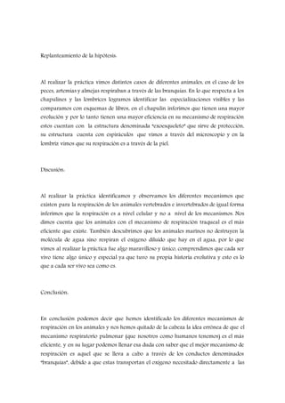 Replanteamiento de la hipótesis:
Al realizar la práctica vimos distintos casos de diferentes animales, en el caso de los
peces, artemias y almejas respiraban a través de las branquias. En lo que respecta a los
chapulines y las lombrices logramos identificar las especializaciones visibles y las
comparamos con esquemas de libros, en el chapulín inferimos que tienen una mayor
evolución y por lo tanto tienen una mayor eficiencia en su mecanismo de respiración
estos cuentan con la estructura denominada “exoesqueleto” que sirve de protección,
su estructura cuenta con espiráculos que vimos a través del microscopio y en la
lombriz vimos que su respiración es a través de la piel.
Discusión:
Al realizar la práctica identificamos y observamos los diferentes mecanismos que
existen para la respiración de los animales vertebrados e invertebrados de igual forma
inferimos que la respiración es a nivel celular y no a nivel de los mecanismos. Nos
dimos cuenta que los animales con el mecanismo de respiración traqueal es el más
eficiente que existe. También descubrimos que los animales marinos no destruyen la
molécula de agua sino respiran el oxígeno diluido que hay en el agua, por lo que
vimos al realizar la práctica fue algo maravilloso y único, comprendimos que cada ser
vivo tiene algo único y especial ya que tuvo su propia historia evolutiva y esto es lo
que a cada ser vivo sea como es.
Conclusión:
En conclusión podemos decir que hemos identificado los diferentes mecanismos de
respiración en los animales y nos hemos quitado de la cabeza la idea errónea de que el
mecanismo respiratorio pulmonar (que nosotros como humanos tenemos) es el más
eficiente, y en su lugar podemos llenar esa duda con saber que el mejor mecanismo de
respiración es aquel que se lleva a cabo a través de los conductos denominados
“branquias”, debido a que estas transportan el oxígeno necesitado directamente a las
 