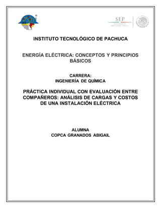 INSTITUTO TECNOLÓGICO DE PACHUCA
ENERGÍA ELÉCTRICA: CONCEPTOS Y PRINCIPIOS
BÁSICOS
CARRERA:
INGENIERÍA DE QUÍMICA
PRÁCTICA INDIVIDUAL CON EVALUACIÓN ENTRE
COMPAÑEROS: ANÁLISIS DE CARGAS Y COSTOS
DE UNA INSTALACIÓN ELÉCTRICA
ALUMNA
COPCA GRANADOS ABIGAIL
 