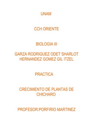 UNAM


        CCH ORIENTE


         BIOLOGIA III

GARZA RODRIGUEZ ODET SHARLOT
  HERNANDEZ GOMEZ GIL ITZEL


         PRACTICA


  CRECIMIENTO DE PLANTAS DE
          CHICHARO


 PROFESOR:PORFIRIO MARTINEZ
 