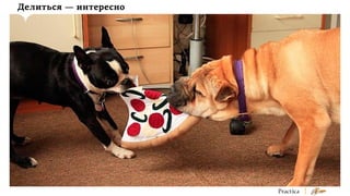 Делиться — интересно

 