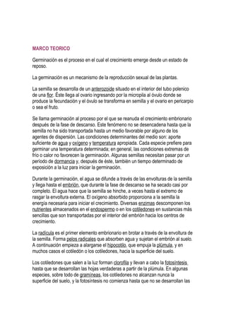 MARCO TEORICO

Germinación es el proceso en el cual el crecimiento emerge desde un estado de
reposo.

La germinación es un mecanismo de la reproducción sexual de las plantas.

La semilla se desarrolla de un anterozoide situado en el interior del tubo polenico
de una flor. Éste llega al ovario ingresando por la micropila al óvulo donde se
produce la fecundación y el óvulo se transforma en semilla y el ovario en pericarpio
o sea el fruto.

Se llama germinación al proceso por el que se reanuda el crecimiento embrionario
después de la fase de descanso. Este fenómeno no se desencadena hasta que la
semilla no ha sido transportada hasta un medio favorable por alguno de los
agentes de dispersión. Las condiciones determinantes del medio son: aporte
suficiente de agua y oxígeno y temperatura apropiada. Cada especie prefiere para
germinar una temperatura determinada; en general, las condiciones extremas de
frío o calor no favorecen la germinación. Algunas semillas necesitan pasar por un
período de dormancia y, después de éste, también un tiempo determinado de
exposición a la luz para iniciar la germinación.

Durante la germinación, el agua se difunde a través de las envolturas de la semilla
y llega hasta el embrión, que durante la fase de descanso se ha secado casi por
completo. El agua hace que la semilla se hinche, a veces hasta el extremo de
rasgar la envoltura externa. El oxígeno absorbido proporciona a la semilla la
energía necesaria para iniciar el crecimiento. Diversas enzimas descomponen los
nutrientes almacenados en el endospermo o en los cotiledones en sustancias más
sencillas que son transportadas por el interior del embrión hacia los centros de
crecimiento.

La radícula es el primer elemento embrionario en brotar a través de la envoltura de
la semilla. Forma pelos radicales que absorben agua y sujetan el embrión al suelo.
A continuación empieza a alargarse el hipocotilo, que empuja la plúmula, y en
muchos casos el cotiledón o los cotiledones, hacia la superficie del suelo.

Los cotiledones que salen a la luz forman clorofila y llevan a cabo la fotosíntesis
hasta que se desarrollan las hojas verdaderas a partir de la plúmula. En algunas
especies, sobre todo de gramíneas, los cotiledones no alcanzan nunca la
superficie del suelo, y la fotosíntesis no comienza hasta que no se desarrollan las
 