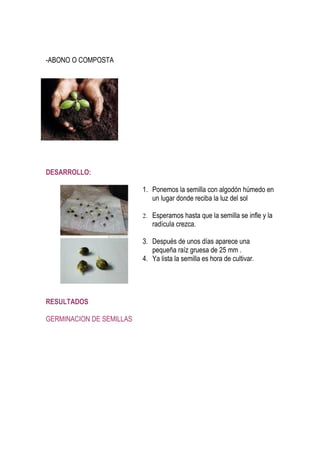 -ABONO O COMPOSTA




DESARROLLO:

                          1. Ponemos la semilla con algodón húmedo en
                             un lugar donde reciba la luz del sol

                          2. Esperamos hasta que la semilla se infle y la
                             radícula crezca.

                          3. Después de unos días aparece una
                             pequeña raíz gruesa de 25 mm .
                          4. Ya lista la semilla es hora de cultivar.




RESULTADOS

GERMINACION DE SEMILLAS
 