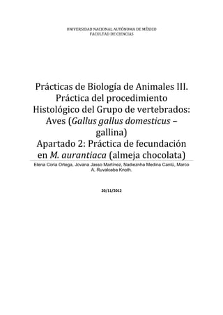 UNIVERSIDAD NACIONAL AUTÓNOMA DE MÉXICO
                         FACULTAD DE CIENCIAS




Prácticas de Biología de Animales III.
     Práctica del procedimiento
Histológico del Grupo de vertebrados:
   Aves (Gallus gallus domesticus –
                gallina)
 Apartado 2: Práctica de fecundación
 en M. aurantiaca (almeja chocolata)
Elena Coria Ortega, Jovana Jasso Martínez, Nadieznha Medina Cantú, Marco
                           A. Ruvalcaba Knoth.



                               20/11/2012
 