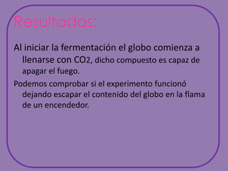 Resultados:Al iniciar la fermentación el globo comienza a llenarse con CO2, dicho compuesto es capaz de apagar el fuego.Podemos comprobar si el experimento funcionó  dejando escapar el contenido del globo en la flama de un encendedor.