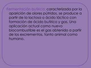 ·Fermentación butírica: caracterizada por la aparición de olores pútridos, se produce a partir de la lactosa o ácido láctico con formación de ácido butírico y gas. Una aplicación actual como nuevo biocombustible es el gas obtenido a partir de los excrementos, tanto animal como humano.