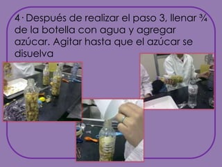 4· Después de realizar el paso 3, llenar ¾ de la botella con agua y agregar azúcar. Agitar hasta que el azúcar se disuelva