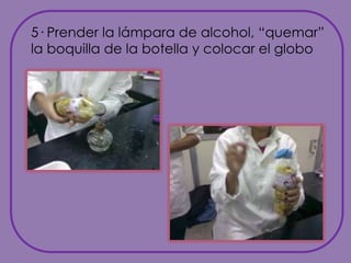 5· Prender la lámpara de alcohol, “quemar” la boquilla de la botella y colocar el globo