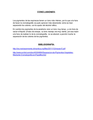 CONCLUSIONES:
Los pigmentos de las espinacas tienen un tono más intenso, por lo que a la hora
de hacer la cromatografía se pudo apreciar más claramente cómo se iban
separando los colores, con la ayuda del alcohol etílico.
En cambio los pigmentos de la zanahoria eran un tono muy tenue, y a la hora de
vaciar el líquido al tubo de ensaye, su tono naranja era muy clarito, por esa razón
a la hora de realizar lo de la cromatografía, no se alcanzó a percibir mucha la
separación de los colores de los pigmentos.
BIBLIOGRAFÍA:
http://ies.mariasarmiento.climantica.org/files/2011/12/imaxen7.pdf
http://www.scribd.com/doc/45304864/Separacion-de-Pigmentos-Vegetales-
Mediante-Cromatografia-en-Papel#scribd
 