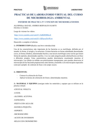 PRACTICAS LABORATORIO
PRACTICAS DE LABORATORIO VIRTUAL DEL CURSO
DE MICROBIOLOGIA AMBIENTAL
INFORME DE PRACTICA N° 2 TINCION DE MICROORGANISMOS
ALUMNO(a): RAFAEL ANDRES BERNALES UGARTE
FECHA:11/10/2021
Luego de visionar los videos:
https://www.youtube.com/watch?v=bdlKR0BBczE
https://www.youtube.com/watch?v=QPqvuoXwWzw
Desarrolle o complete el informe.
1.- INTRODUCCION (Realice una breve introducción):
Una de las características más importante de las bacterias es su morfología, definida por el
tamaño, la forma, el arreglo y la estructura. Existen bacterias en forma redondeada denominadas
cocos, en forma cilíndrica, denominadas bacilos y una tercera morfología como son las que tienen
forma de espirales, denominadas espirilos. A su vez cada categoría puede subclasificarse con base
a diferentes arreglos. Estas características pueden determinarse examinando muestras al
microscopio. Las células no teñidas son prácticamente transparentes, pero pueden observarse al
microscopio de luz haciendo preparaciones entre lámina y laminilla o con microscopios especiales
como por ejemplo: de contraste de fases o de campo oscuro.
2.- OBJETIVOS:
- Conocer la coloración de Gram
- Aplicar la técnica de coloración de Gram a determinadas muestras.
3.- MATERIAL Y EQUIPOS (consigne todos los materiales y equipos que se utilizan en la
práctica virtual)
-CRYSTAL VIOLETA
-LUGOL
-ALCOHOL ACETONA
-SAFRANINA
-PIZETA CON AGUA DE
-BANDEJA PEQUEÑA
-SOPORTE
-MICROOSCOPIO
-ACEITE DE INVERSION
-RELOJ CON CRONOMETRO
 