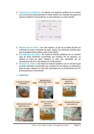 “Todo es veneno, Nada es veneno, Todo depende de la dosis“ Página 3
2. Reacción de Yodoformo.- Al calentar una pequeña cantidad de la muestra
con una solución yodo-yodurada en medio alcalino con hidróxido de potasio se
produce yodoformo reconocible por su olor particular y su color amarillo.
3. Nitroprusiato de Sodio.- Con este reactivo, al que se le añade solución de
carbonato de sodio o hidróxido de sodio, origina una coloración amarilla-rojiza
que al agregarle ácido acético, pasa al rojo-violeta.
4. Con Reacción de Fritsch.- Se mezcla la solución problema con un volumen
igual de ácido clorhídrico concentrado que contiene 5% de sacarosa, se
calienta en baño de vapor. Aparece un color rojo, apreciable aún en
concentración de 0.01 g de acetona por ml de solución.
5. Reacción de Fritsch.- Se mezcla la solución problema con un volumen igual
de ácido clorhídrico concentrado que contiene 5% de Lactosa, se calienta en
baño de vapor. Aparece un color rojo, apreciable aún en concentración de 0.01
g de acetona por ml de solución.
 GRÁFICOS:
Administración de
cetona primera dosis 5
ml.
Colocación del Cobayo
En el panema
Colocar en el panema y
observar las
manifestaciones
Administración de cetona
segunda dosis 5 ml.
Colocar en el panema y
observar las
manifestaciones
Administración de cetona
tercera dosis 5 ml.
 