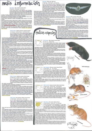 Practica claves egagropilas