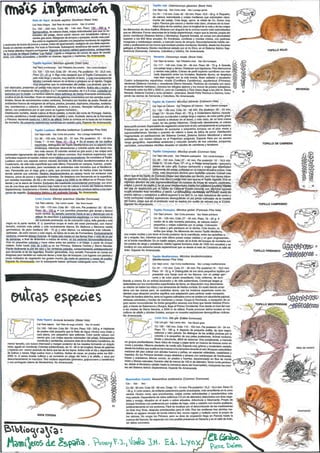 Practica claves egagropilas