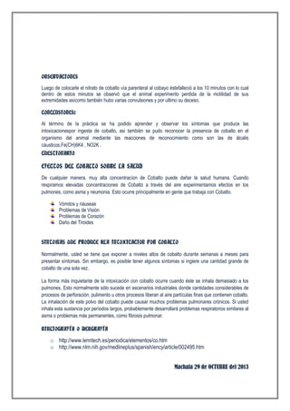OBSERVACIONES
Luego de colocarle el nitrato de cobalto vía parenteral al cobayo éstefalleció a los 10 minutos con lo cual
dentro de estos minutos se observó que el animal experimento perdida de la motilidad de sus
extremidades asícomo también hubo varias convulsiones y por ultimo su deceso.
CONCLUSIONES:
Al término de la práctica se ha podido aprender y observar los síntomas que produce las
intoxicacionespor ingesta de cobalto, asi también se pudo reconocer la presencia de cobalto en el
organismo del animal mediante las reacciones de reconocimiento como son las de álcalis
cáusticos,Fe(CH)6K4 , NO2K .
CUESTIONARIO

EFECTOS DEL COBALTO SOBRE LA SALUD
De cualquier manera, muy alta concentracíon de Cobalto puede dañar la salud humana. Cuando
respiramos elevadas concentraciones de Cobalto a través del aire experimentamos efectos en los
pulmones, como asma y neumonia. Esto ocurre principalmente en gente que trabaja con Cobalto.
Vómitos y náuseas
Problemas de Visión
Problemas de Corazón
Daño del Tiroides
SINTOMAS QUE PRODUCE KLA INTOXICACION POR COBALTO
Normalmente, usted se tiene que exponer a niveles altos de cobalto durante semanas a meses para
presentar síntomas. Sin embargo, es posible tener algunos síntomas si ingiere una cantidad grande de
cobalto de una sola vez.
La forma más inquietante de la intoxicación con cobalto ocurre cuando éste se inhala demasiado a los
pulmones. Esto normalmente sólo sucede en escenarios industriales donde cantidades considerables de
procesos de perforación, pulimento u otros procesos liberan al aire partículas finas que contienen cobalto.
La inhalación de este polvo del cobalto puede causar muchos problemas pulmonares crónicos. Si usted
inhala esta sustancia por períodos largos, probablemente desarrollará problemas respiratorios similares al
asma o problemas más permanentes, como fibrosis pulmonar.
BIBLIOGRAFÍA O WEBGRAFÍA

o http://www.lenntech.es/periodica/elementos/co.htm
o http://www.nlm.nih.gov/medlineplus/spanish/ency/article/002495.htm
Machala 29 de OCTUBRE del 2013

 