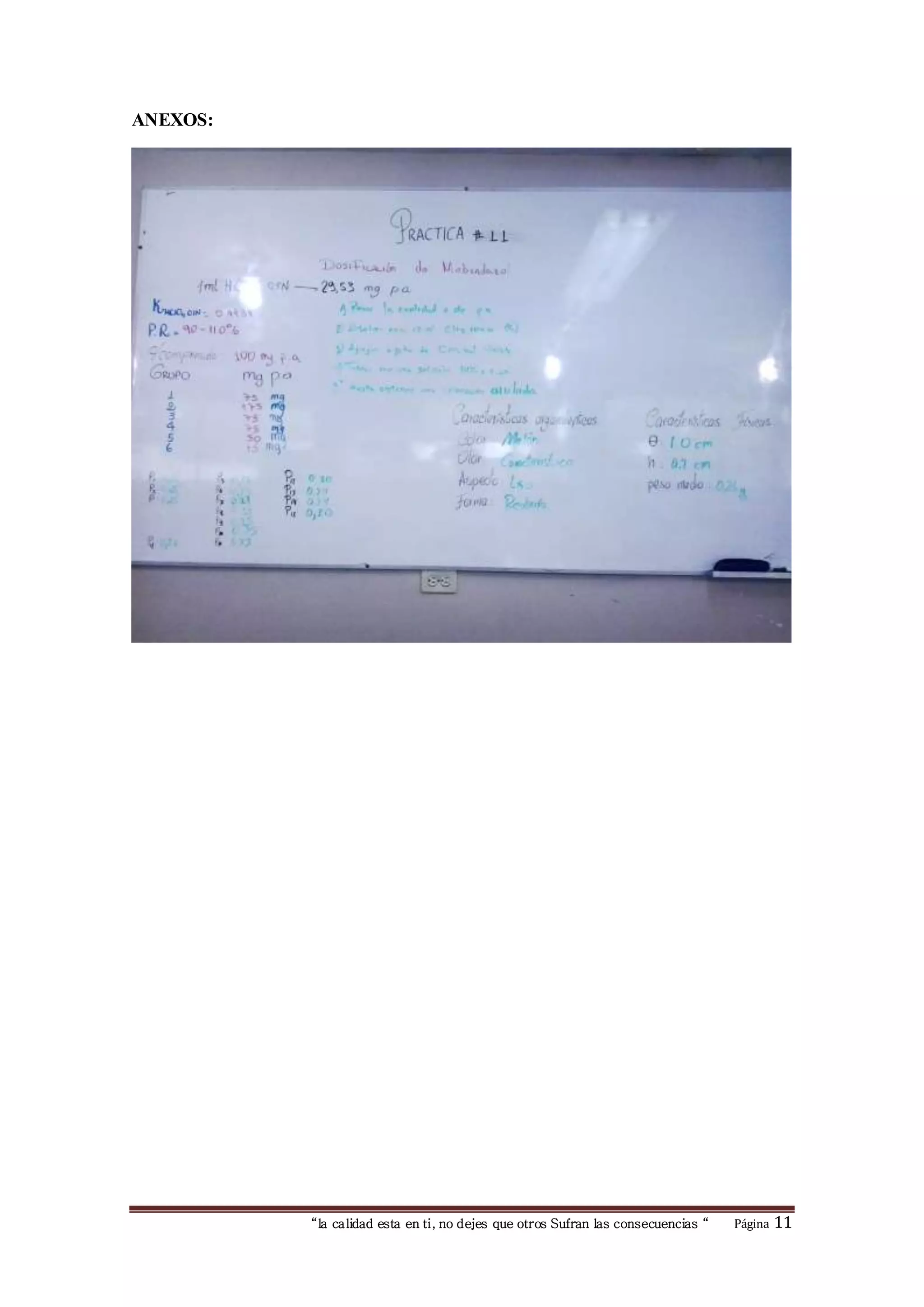“la calidad esta en ti, no dejes que otros Sufran las consecuencias “ Página 11 
ANEXOS: 
