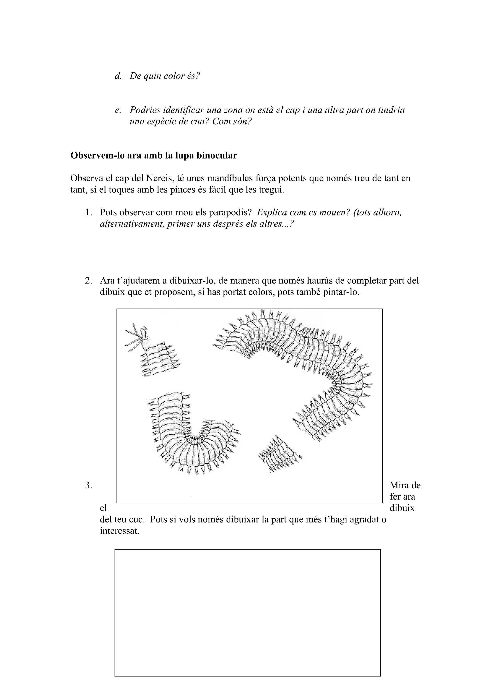 practica-cucs-pdf
