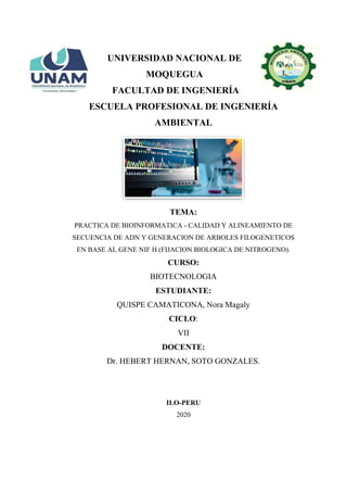 UNIVERSIDAD NACIONAL DE
MOQUEGUA
FACULTAD DE INGENIERÍA
ESCUELA PROFESIONAL DE INGENIERÍA
AMBIENTAL
TEMA:
PRACTICA DE BIOINFORMATICA - CALIDAD Y ALINEAMIENTO DE
SECUENCIA DE ADN Y GENERACION DE ARBOLES FILOGENETICOS
EN BASE AL GENE NIF H (FIJACION BIOLOGICA DE NITROGENO).
CURSO:
BIOTECNOLOGIA
ESTUDIANTE:
QUISPE CAMATICONA, Nora Magaly
CICLO:
VII
DOCENTE:
Dr. HEBERT HERNAN, SOTO GONZALES.
ILO-PERU
2020
 