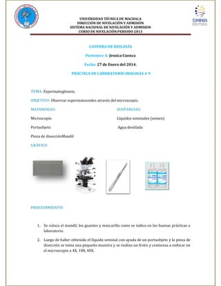 UNIVERSIDAD TÉCNICA DE MACHALA
DIRECCIÓN DE NIVELACIÓN Y ADMISIÓN
SISTEMA NACIONAL DE NIVELACIÓN Y ADMISION
CURSO DE NIVELACIÓN PERIODO 2013

CATEDRA DE BIOLOGÍA
Pertenece A: Jessica Cuenca
Fecha: 27 de Enero del 2014.
PRÁCTICA DE LABORATORIO BIOLOGIA # 9

TEMA: Espermatogénesis.
OBJETIVO: Observar espermatozoides através del microscopio.
MATERIALES:

SUSTANCIAS:

Microscopio

Líquidos seminales (semen)

Portaobjeto

Agua destilada

Pinza de disecciónMandil
GRÁFICO

PROCEDIMIENTO:

1. Se coloca el mandil, los guantes y mascarilla como se indica en las buenas prácticas a
laboratorio.
2. Luego de haber obtenido el líquido seminal con ayuda de un portaobjeto y la pinza de
disección se toma una pequeña muestra y se realiza un frotis y comienza a enfocar en
el microscopio a 4X, 10X, 40X.

 