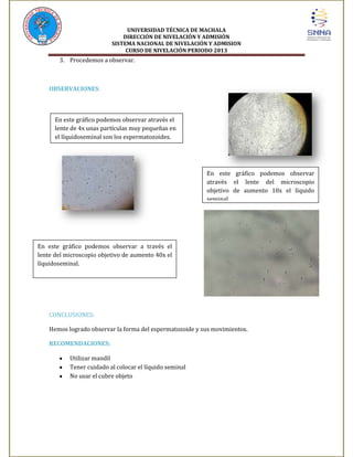 UNIVERSIDAD TÉCNICA DE MACHALA
DIRECCIÓN DE NIVELACIÓN Y ADMISIÓN
SISTEMA NACIONAL DE NIVELACIÓN Y ADMISION
CURSO DE NIVELACIÓN PERIODO 2013

3. Procedemos a observar.

OBSERVACIONES:

En este gráfico podemos observar através el
lente de 4x unas partículas muy pequeñas en
el líquidoseminal son los espermatozoides.

En este gráfico podemos observar
através el lente del microscopio
objetivo de aumento 10x el líquido
seminal.

En este gráfico podemos observar a través el
lente del microscopio objetivo de aumento 40x el
líquidoseminal.

CONCLUSIONES:
Hemos logrado observar la forma del espermatozoide y sus movimientos.
RECOMENDACIONES:
Utilizar mandil
Tener cuidado al colocar el líquido seminal
No usar el cubre objeto

 