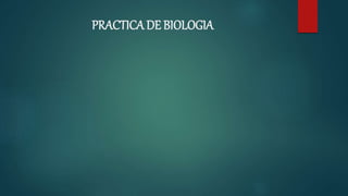 PRACTICA DE BIOLOGIA
 